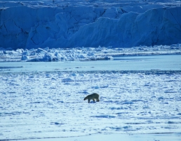 Svalbard by Jens Henrik Nybo www.visitnorway.com